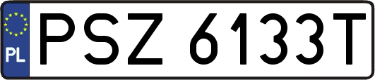 PSZ6133T