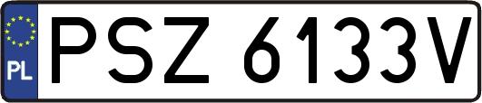 PSZ6133V