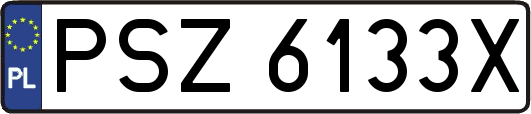 PSZ6133X