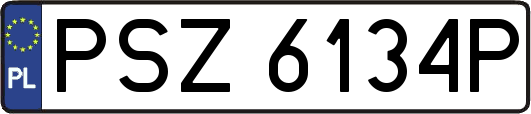 PSZ6134P