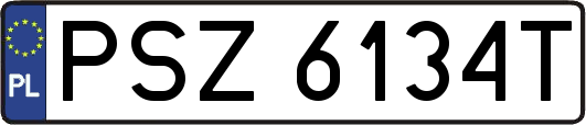 PSZ6134T