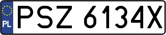 PSZ6134X