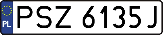 PSZ6135J