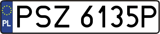 PSZ6135P