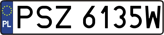 PSZ6135W