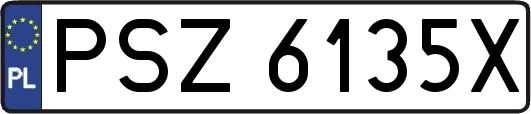 PSZ6135X