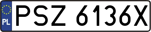 PSZ6136X