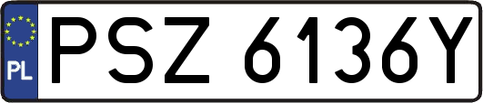 PSZ6136Y