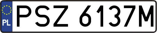 PSZ6137M