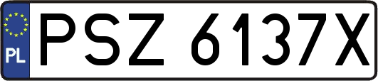 PSZ6137X
