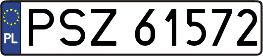PSZ61572