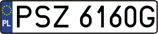 PSZ6160G
