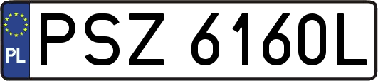 PSZ6160L
