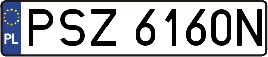 PSZ6160N