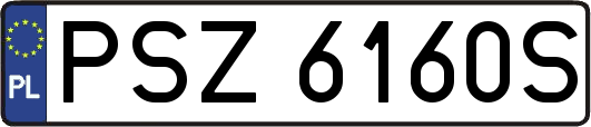PSZ6160S