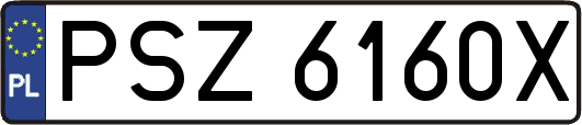 PSZ6160X