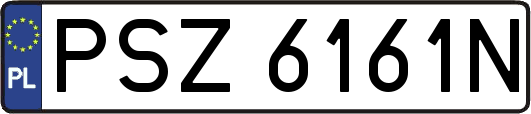 PSZ6161N