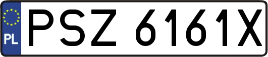 PSZ6161X
