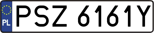 PSZ6161Y