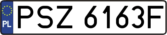 PSZ6163F