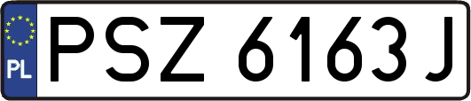 PSZ6163J