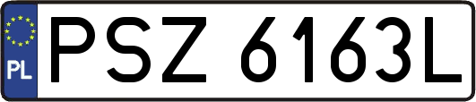 PSZ6163L