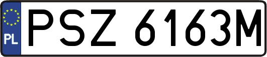 PSZ6163M