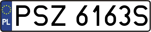 PSZ6163S