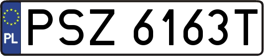 PSZ6163T