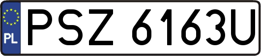 PSZ6163U