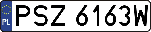 PSZ6163W