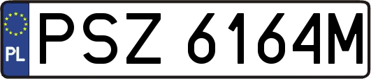 PSZ6164M