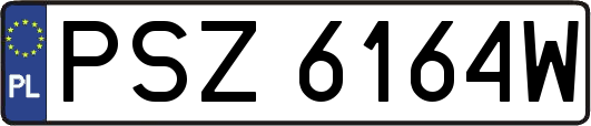 PSZ6164W
