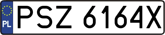 PSZ6164X
