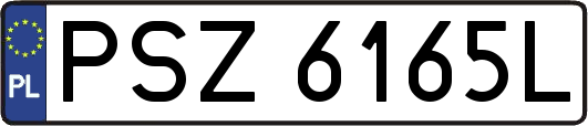 PSZ6165L