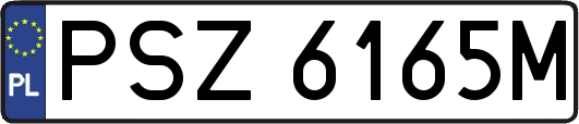 PSZ6165M