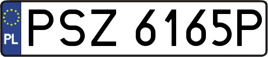 PSZ6165P