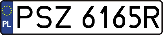 PSZ6165R