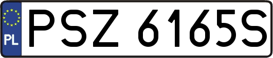 PSZ6165S