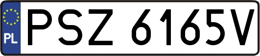 PSZ6165V