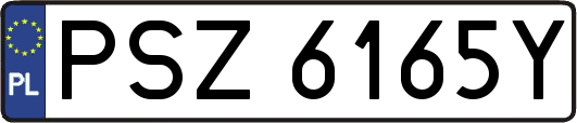 PSZ6165Y
