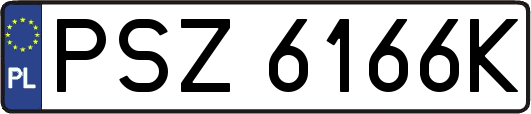 PSZ6166K