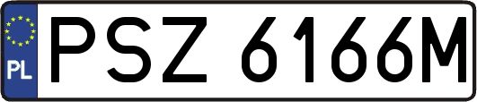 PSZ6166M