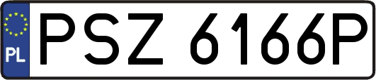 PSZ6166P