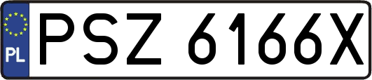 PSZ6166X
