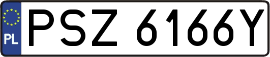 PSZ6166Y