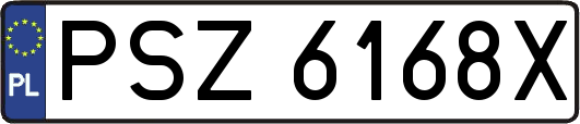 PSZ6168X