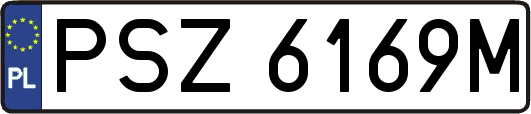 PSZ6169M
