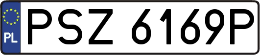 PSZ6169P