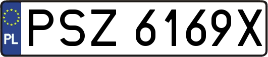 PSZ6169X